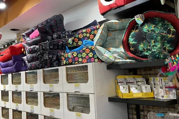 Ankara Pet Shop - Resim 7