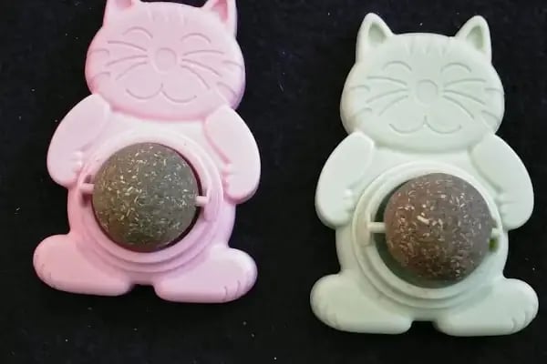 Aden petshop - Resim 6