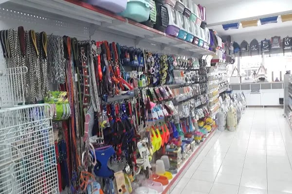 Aden petshop - Resim 13