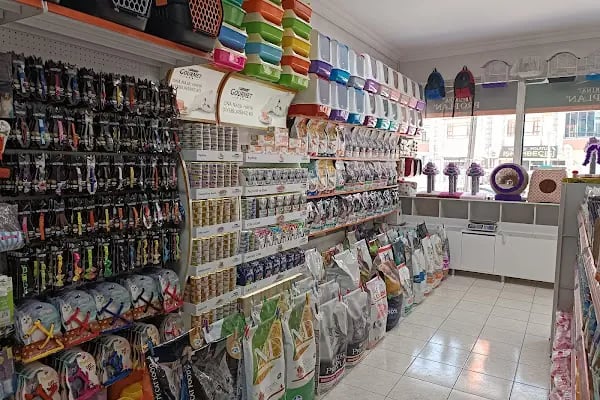 Aden petshop - Resim 20