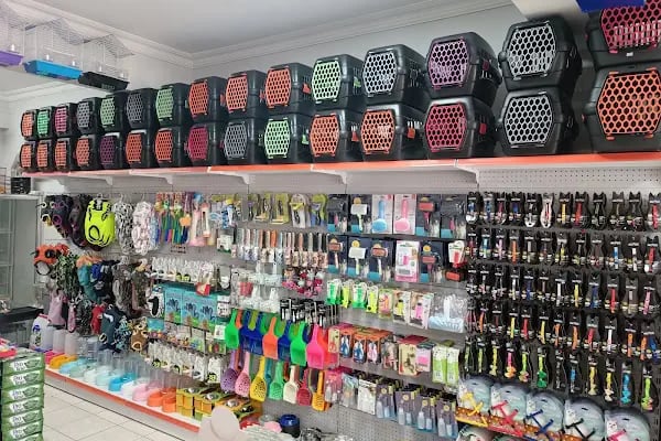 Aden petshop - Resim 2