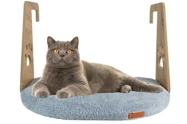 Aden petshop - Resim 3