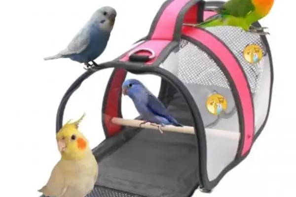Aden petshop - Resim 9