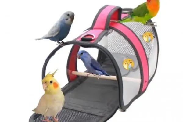 Aden petshop - Resim 19