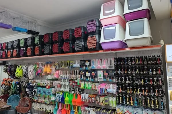 Aden petshop - Resim 8