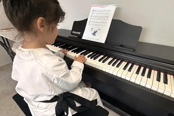 Özel İzmit Kumru Sanat Müzik Kursu - Resim 3