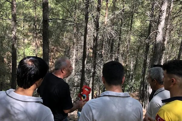 Güngören İlkokulu - Resim 4