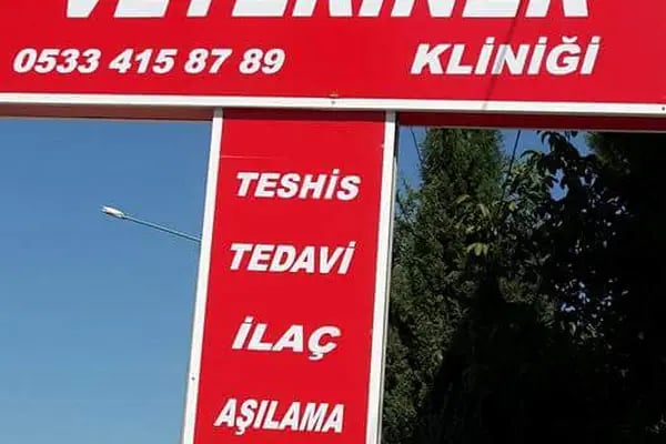 Gümüş Veteriner Kliniği - Resim 3