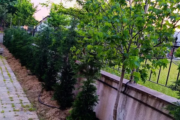 Simpark Evleri Taşoluk - Resim 9