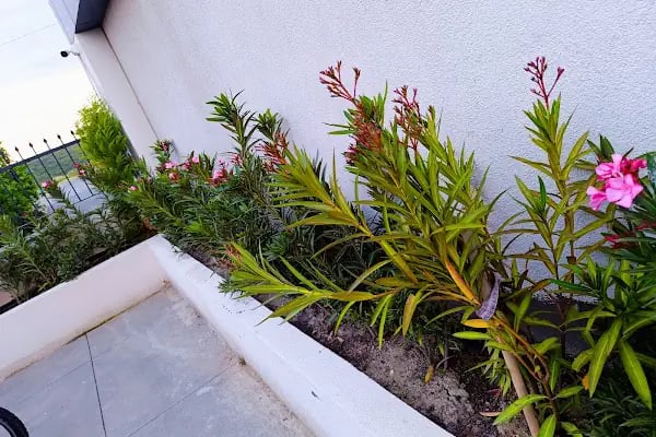Simpark Evleri Taşoluk - Resim 11