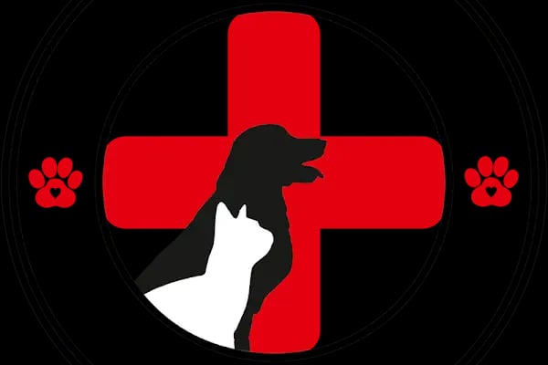 Vet Center Konya - Vetcenter Veteriner Kliniği - Resim 15