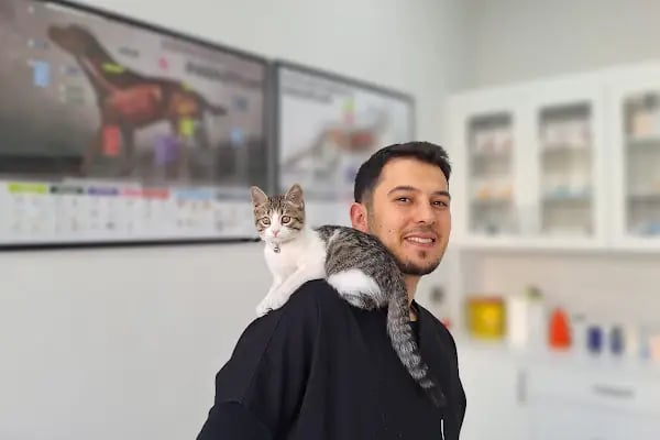 Vet Center Konya - Vetcenter Veteriner Kliniği - Resim 8