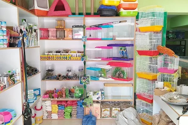 sena petshop - Resim 11