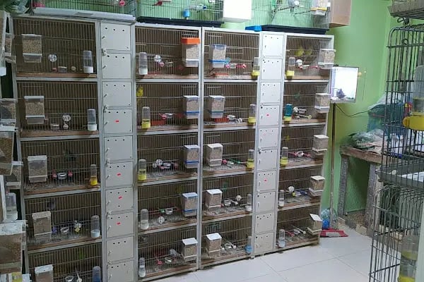 sena petshop - Resim 13