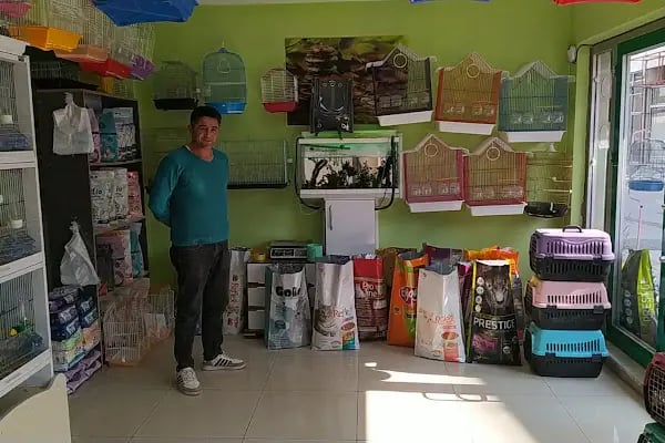 sena petshop - Resim 2