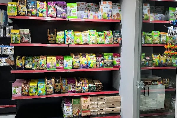 ZOO Pet Shop - Resim 16