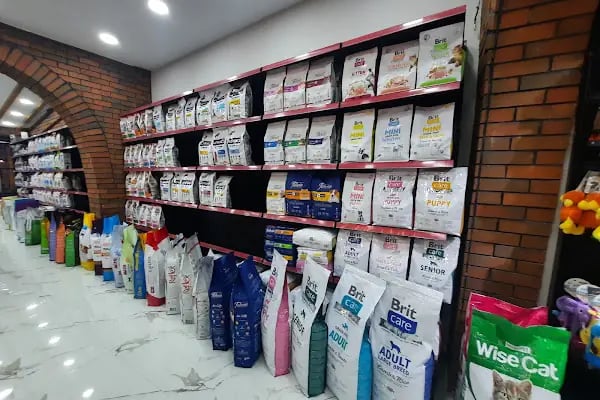 ZOO Pet Shop - Resim 19