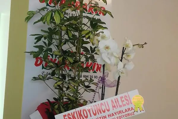 Bismil İlçe Terminali - Resim 9