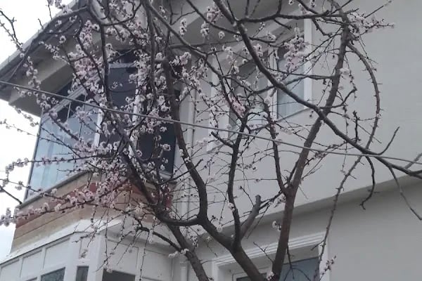Özirem Tatil Sitesi - Resim 16