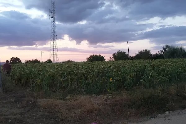 Özirem Tatil Sitesi - Resim 17