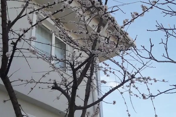 Özirem Tatil Sitesi - Resim 4