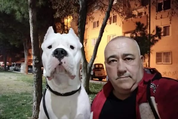 Pembe Pati Veteriner Kliniği - Resim 17