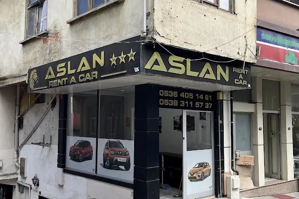 ASLAN RENT A CAR - Resim 4