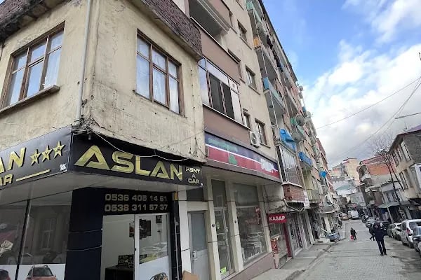 ASLAN RENT A CAR - Resim 2
