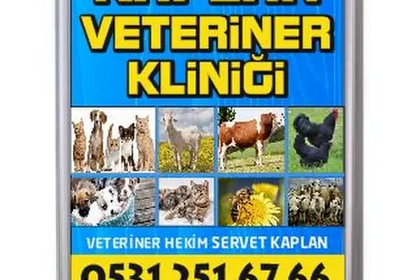 Kaplan Veteriner Kliniği - Resim 6