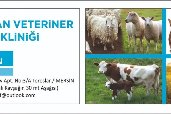 Kaplan Veteriner Kliniği - Resim 16