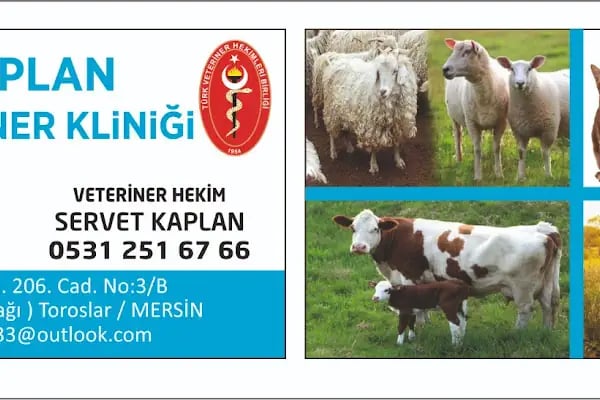 Kaplan Veteriner Kliniği - Resim 17
