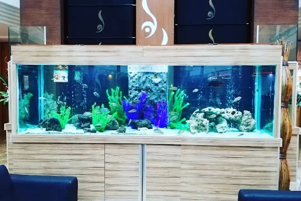 Vatos's Akvaryum Petshop - Resim 1