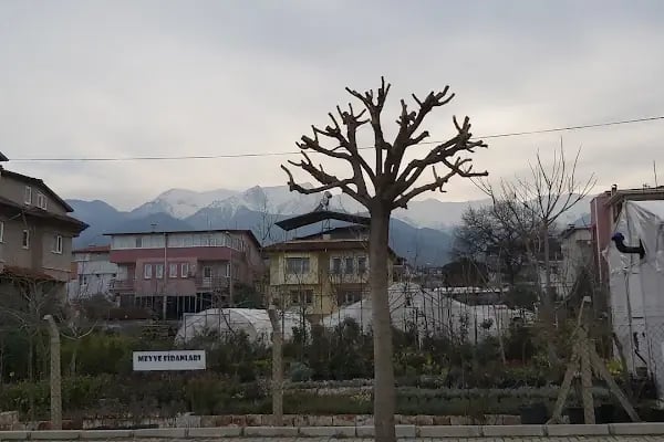T.C. DENİZLİ VALİLİĞİ İL GÖÇ İDARESİ MÜDÜRLÜĞÜ - Resim 3