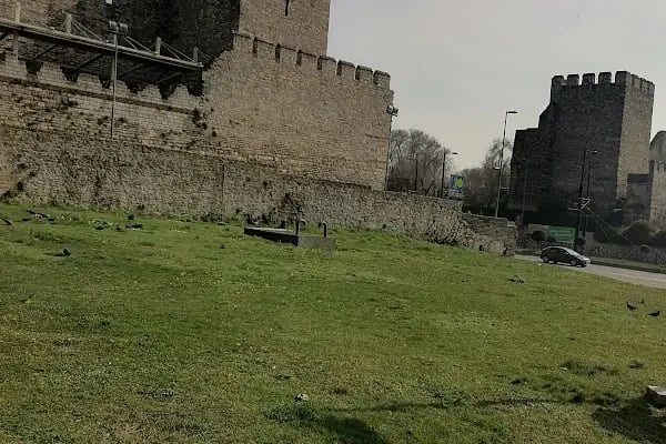 Topkapı T4 Tramvay - Resim 10