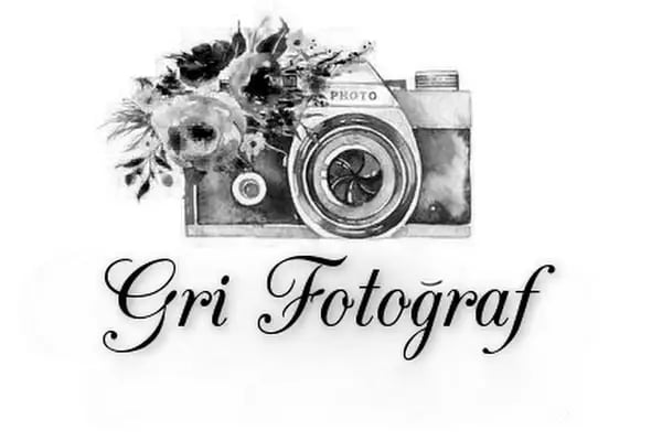 Manisa Gri Fotoğraf - Resim 2