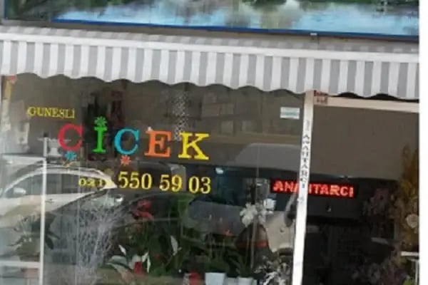 Güneşli Çiçek - Resim 4