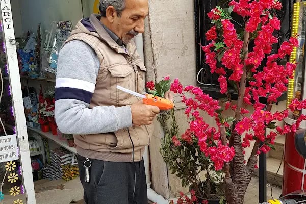 Güneşli Çiçek - Resim 10