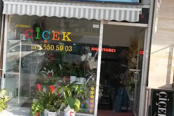 Güneşli Çiçek - Resim 6