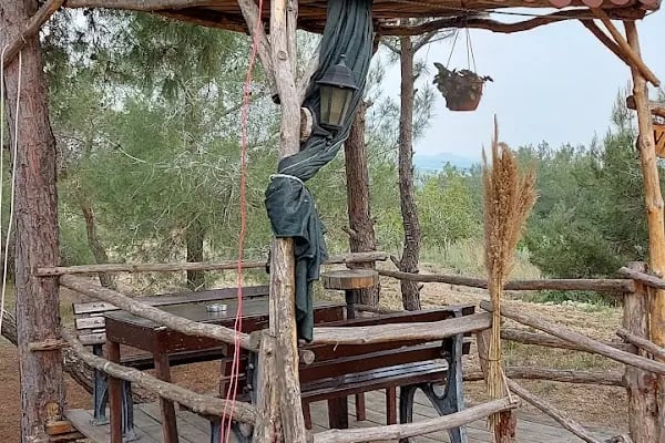 YÜCESOY PİKNİK VE RESTORAN - Resim 9