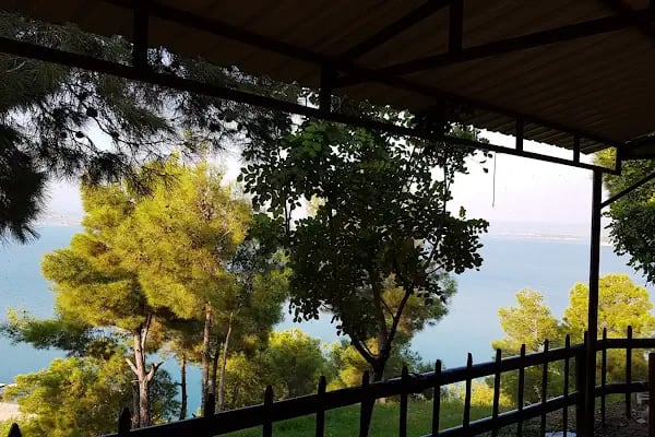 YÜCESOY PİKNİK VE RESTORAN - Resim 4
