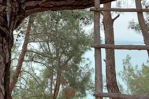 YÜCESOY PİKNİK VE RESTORAN - Resim 8
