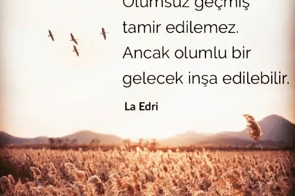 Bergama Psikolog Kağan AY Danışmanlık - Aile Çift Terapisti Pedagog - Resim 13