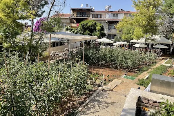 Yücetepe Restoran & Kafe - Resim 4