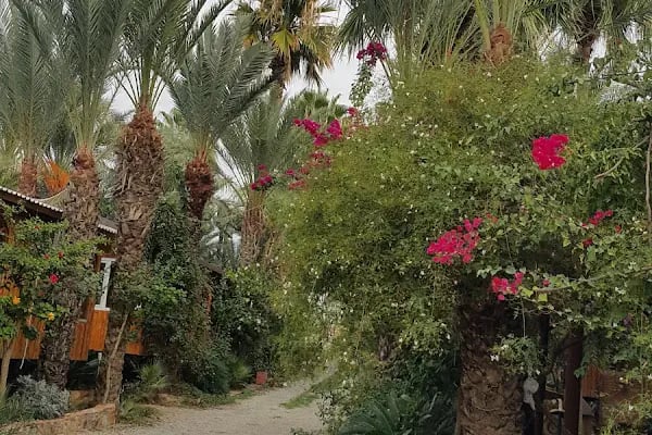 Camping Paradies - Resim 17