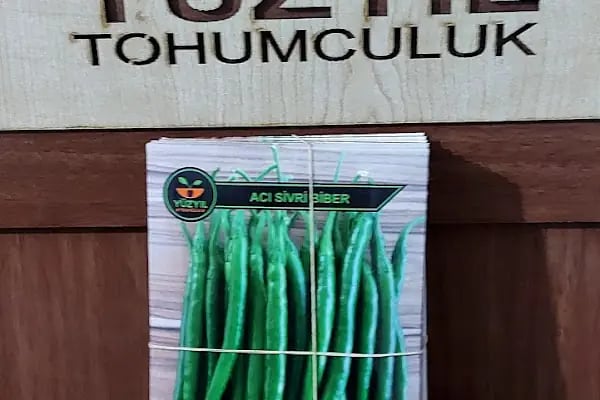 Yüzyıl Tohumculuk - Resim 12
