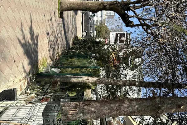 Gata Veteriner Kliniği - Resim 10