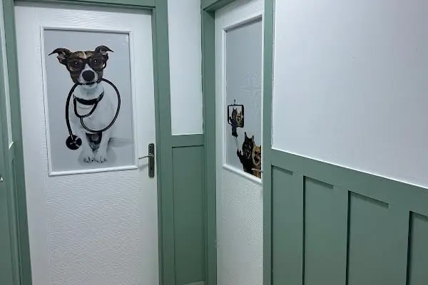 Gata Veteriner Kliniği - Resim 6