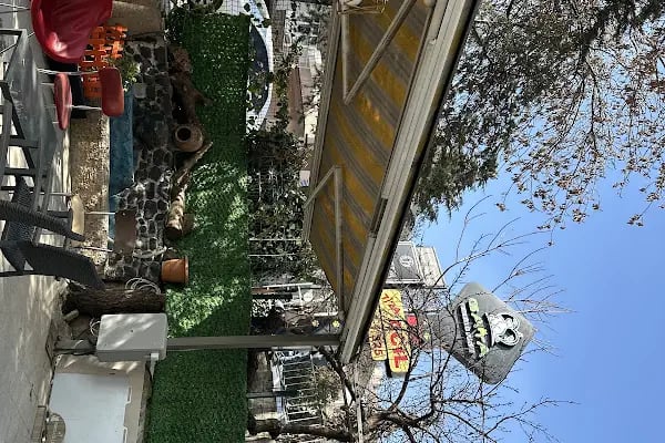 Gata Veteriner Kliniği - Resim 9