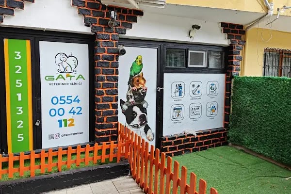 Gata Veteriner Kliniği - Resim 11