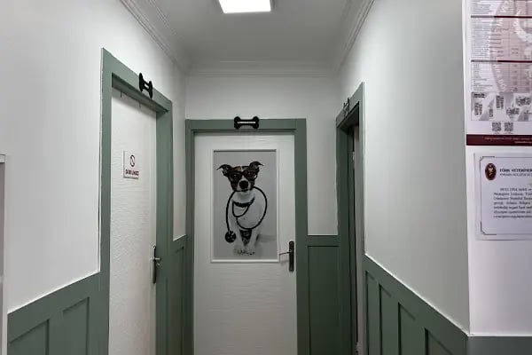 Gata Veteriner Kliniği - Resim 2